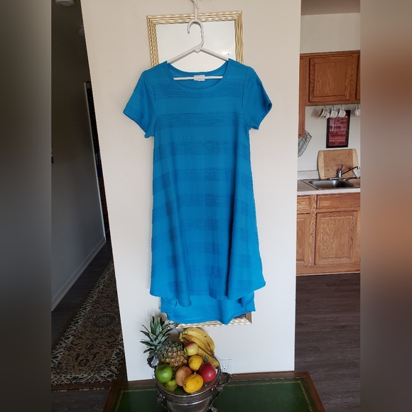 NWOT lularoe flounder blue summer layering dress - Picture 5 of 16